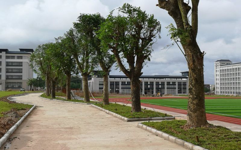 广东茂名农林科技职业学院