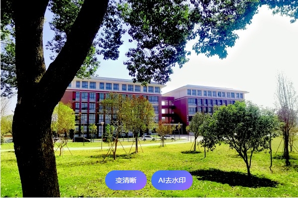 郴州思科职业学院