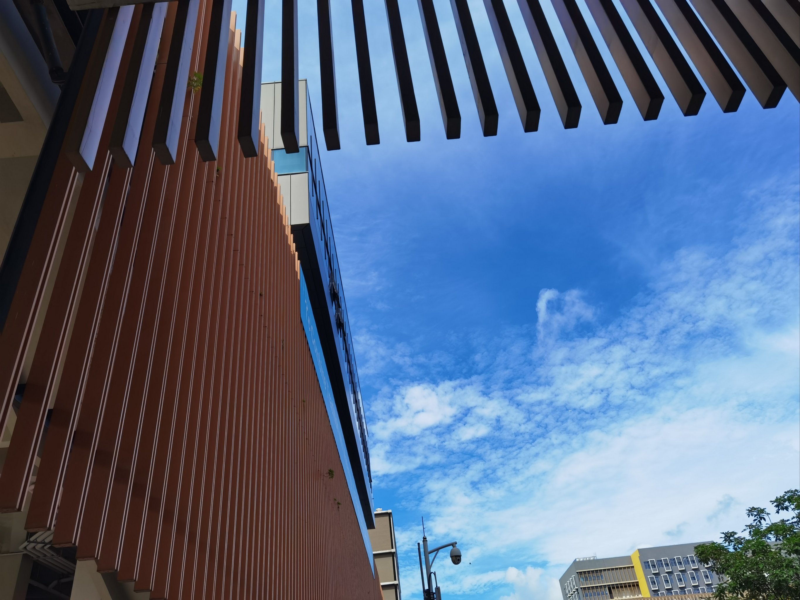 香港中文大学(深圳)