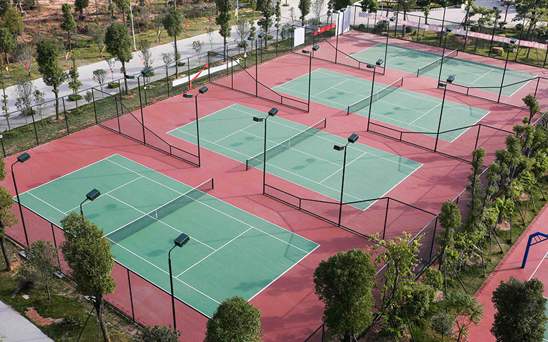 广州新华学院