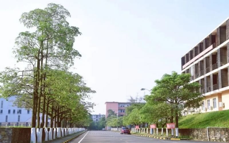 钦州幼儿师范高等专科学校