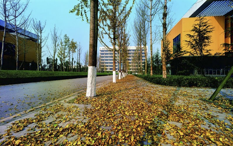重庆科技大学