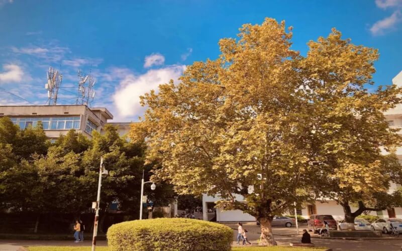 内江师范学院