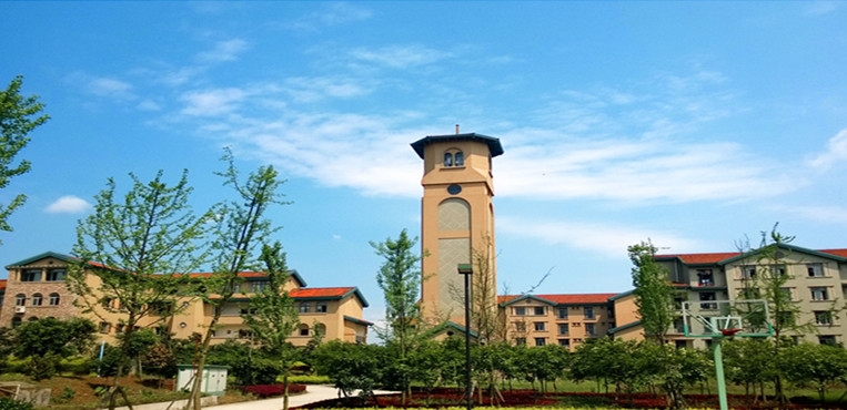 重庆轻工职业学院