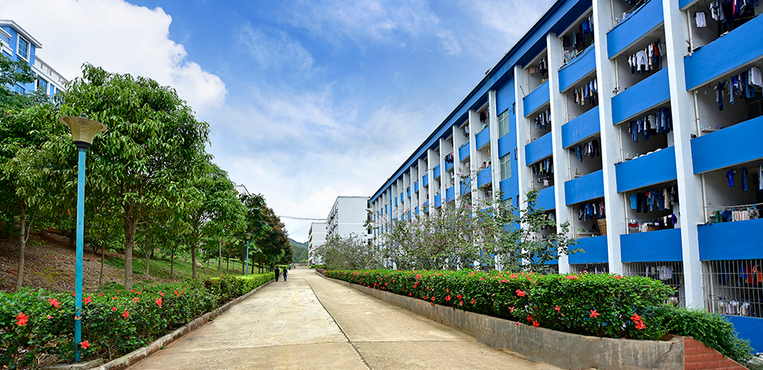 广西理工职业技术学院