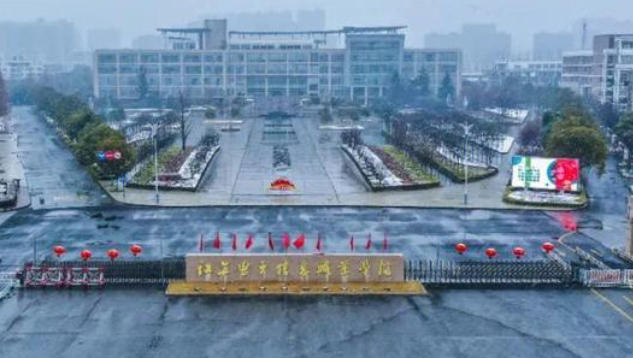江苏电子信息职业学院