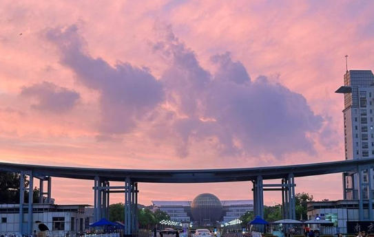 南京财经大学