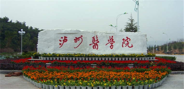 西南医科大学