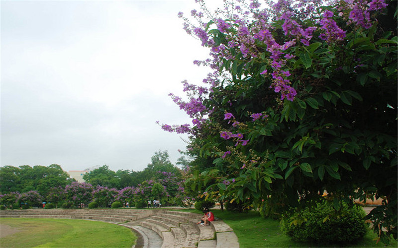 广西职业师范学院