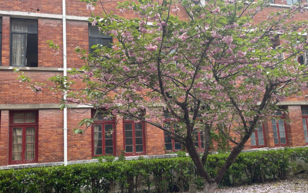 上海师范大学