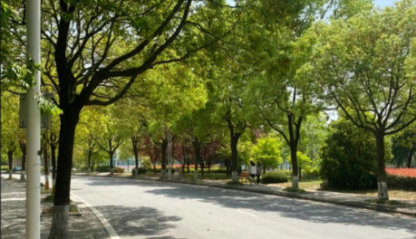 江苏航运职业技术学院
