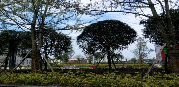 川南幼儿师范高等专科学校