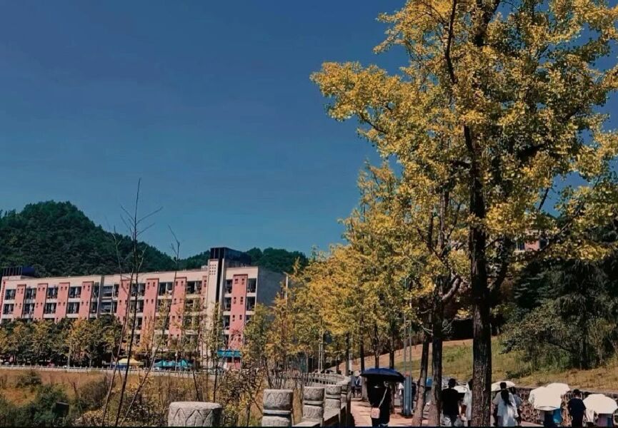 黔南民族医学高等专科学校