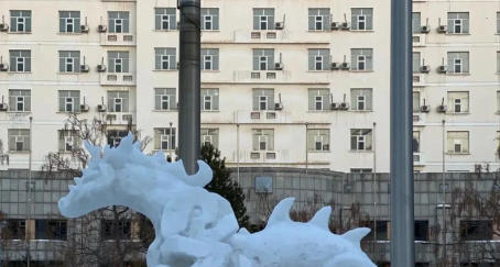 黑龙江大学