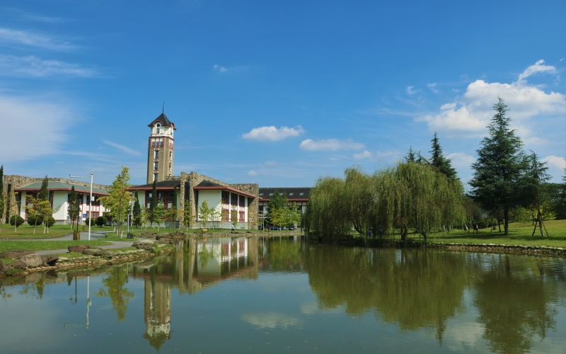 成都东软学院