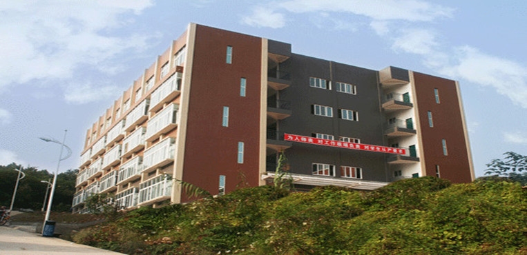 四川文化艺术学院