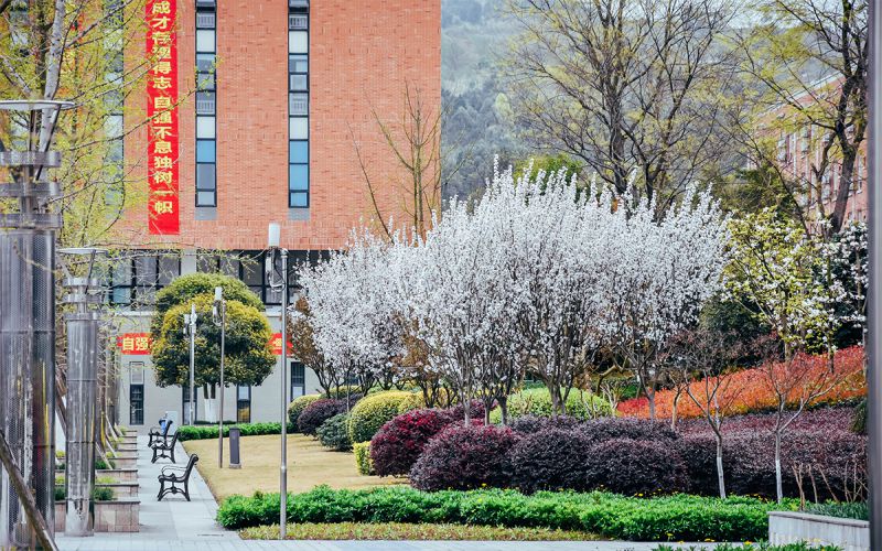 西南交通大学希望学院