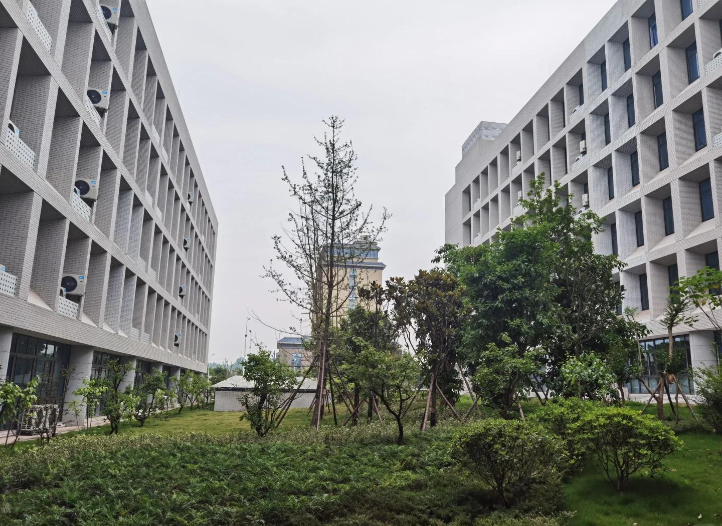 内江卫生与健康职业学院