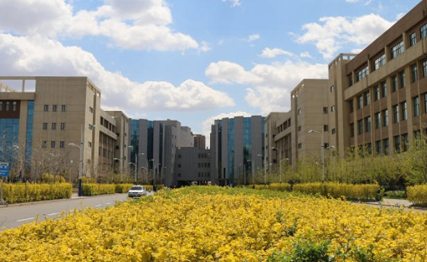 沈阳科技学院