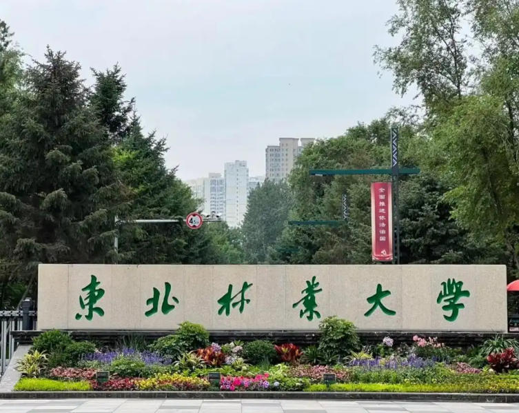 东北林业大学