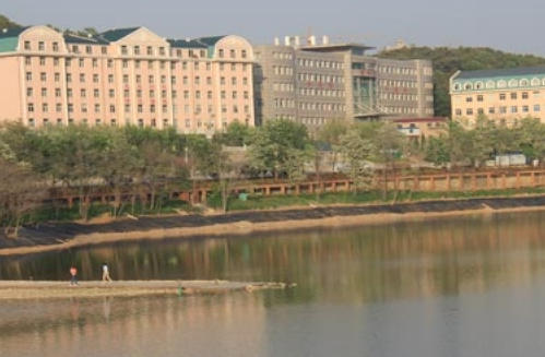 大连软件职业学院