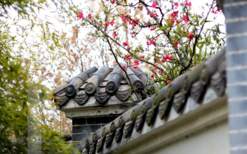 四川工程职业技术大学