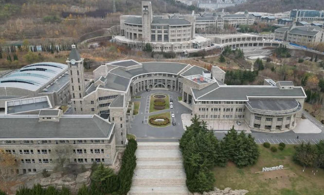 大连东软信息学院