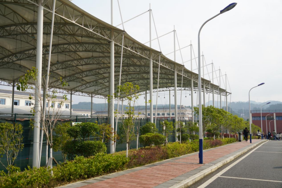 遵义医科大学医学与科技学院