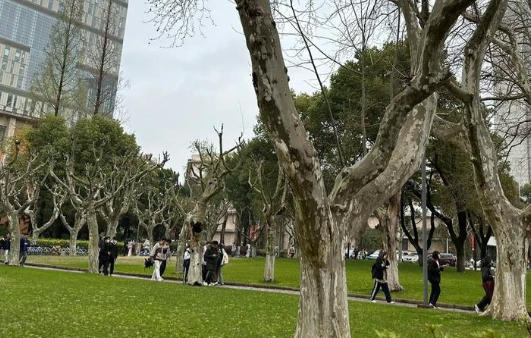 同济大学