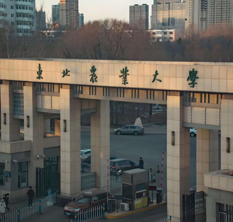 东北农业大学