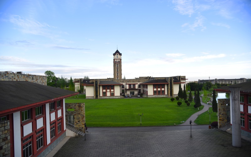 成都东软学院