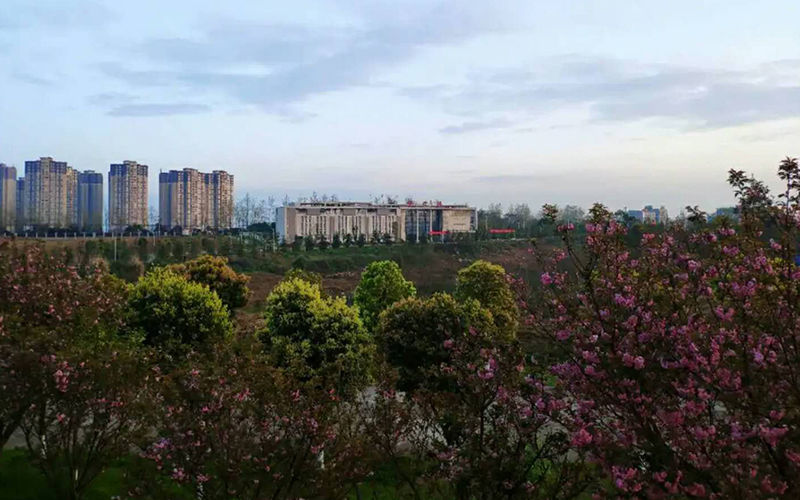 南充职业技术学院