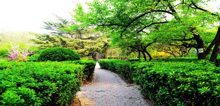 天津铁道职业技术学院