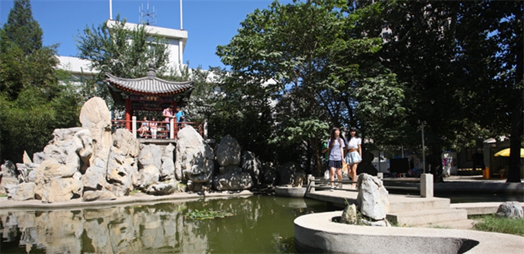 中国青年政治学院