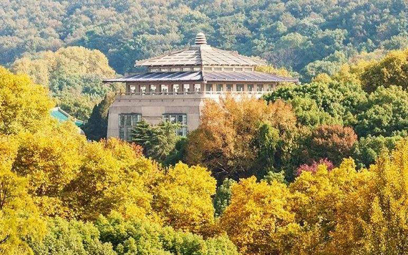 武汉大学法学院