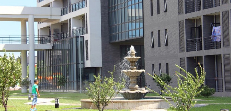 外交学院