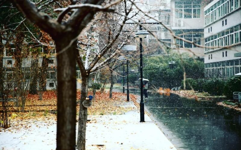 国际关系学院
