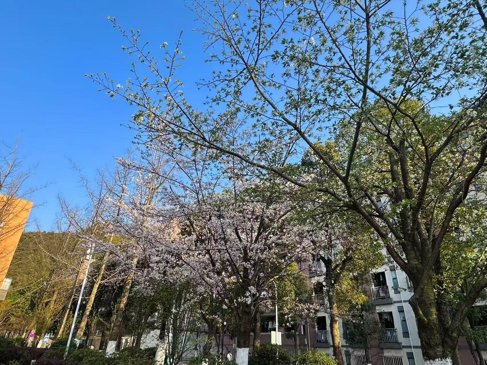 贵州建设职业技术学院