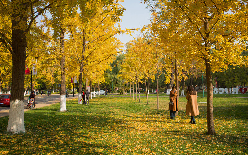 中国人民大学法学院
