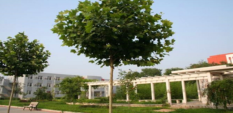北京经济管理职业学院