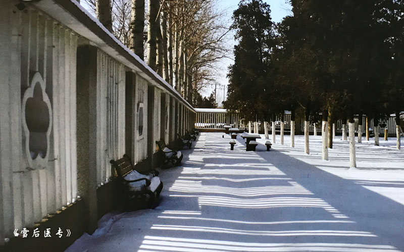 天津医学高等专科学校