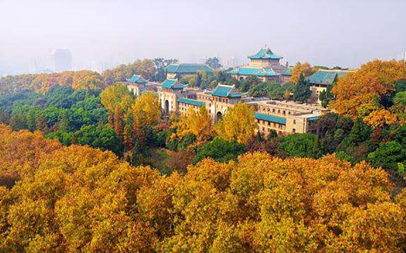武汉大学法学院