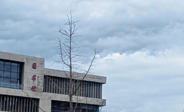 山西卫生健康职业学院