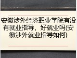 安徽涉外经济职业学院有没有就业指导，好就业吗(安徽涉外就业指导如何)