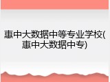 惠中大数据中等专业学校(惠中大数据中专)