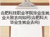 合肥科技职业学院毕业生就业大致去向如何(合肥科大毕业生就业去向)