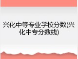 兴化中等专业学校分数(兴化中专分数线)