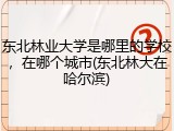 东北林业大学是哪里的学校，在哪个城市(东北林大在哈尔滨)
