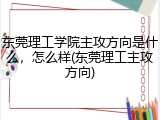 东莞理工学院主攻方向是什么，怎么样(东莞理工主攻方向)