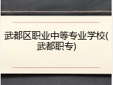 武都区职业中等专业学校(武都职专)
